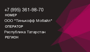 9953619870